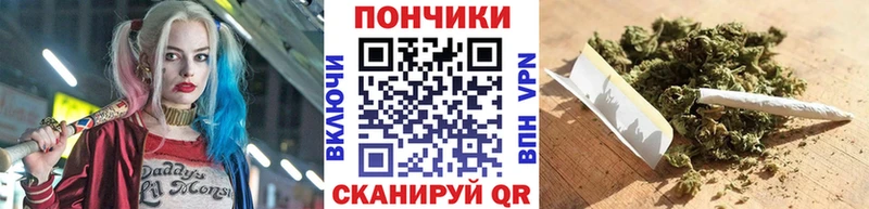 купить наркотик  Богучар  Конопля Amnesia 